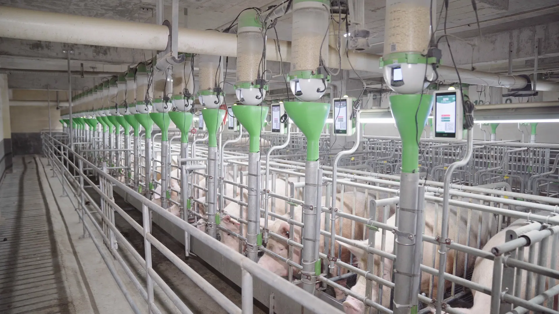 【FPF Precision Feeding Solution】Feeder with Remote Pen Checks！